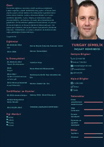 İnşaat Mühendisi Cv Örnekleri cv indir